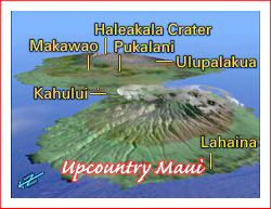 upcountry maui map