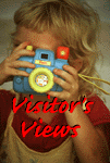 visitors views